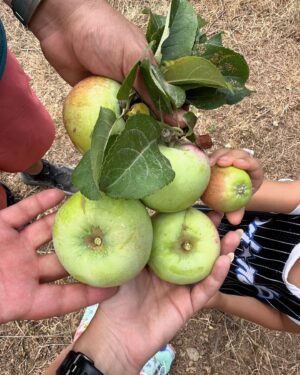 Nikoletta Ralli Instagram - Σαββατοκύριακο⛰️🍎