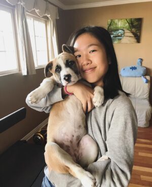 Nina Lu Instagram - I’m so sorry my sweet girl, I didn’t think I’d be making this post so soon :(

Pippa passed away 8/11/2024. She was 6 years old. She was the best girl. She was always full of love and happiness no matter what. She was beautiful and smart and was the light of our family. 

She loved the beach. Dog beach was her most favorite place in the world. If I’d known her life would’ve ended this early, I would’ve taken her there every weekend this summer.

Now I hope she’s somewhere swimming at the most sunny beach in her afterlife.

She was bilingual! (She recognized “dog” and “outside” in Chinese when my mom would talk about her). She knew countless tricks. She had been learning to walk without pulling hard on her leash her whole life, but had just perfected it this summer :( 

Christmas of 2017, I wished for Pippa to be my present for Christmas and I got my wish. And she was the best gift I could’ve ever asked for.

She loved us so much. She always made me know I was her whole world. :(((

Pippa will stay in my heart forever 

I love you my baby. You’ll always be my Pippy-girl.