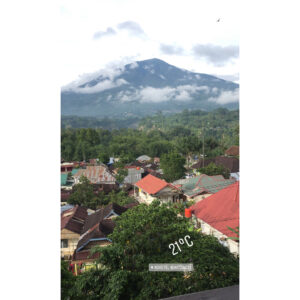 Nobuyuki Suzuki Instagram - Menurut kalian ini bunga apa namanya ⁉️
#suamiistrikepo 
#bukittinggi