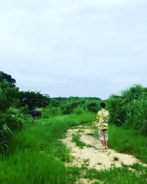 Nobuyuki Suzuki Instagram - JANGAN ⁉️ melawan alam 
#taketomiisland