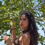 Nour Ardakani