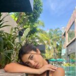 Nour Ardakani