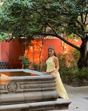 Nour Ardakani Instagram - 🇲🇽🌮