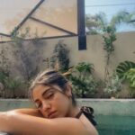 Nour Ardakani