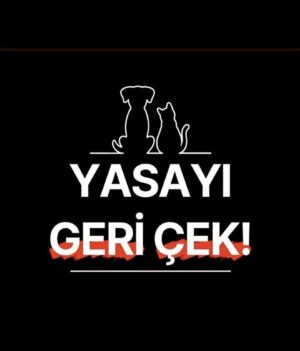 Nur Sürer Instagram - keşke hayvanlar kadar masum olsaydık….