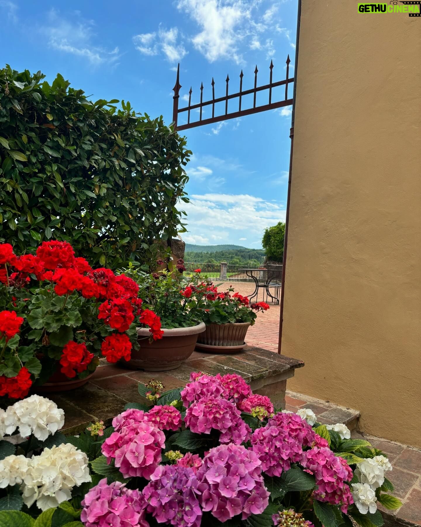 Oka Giner - 42.1K Likes - Hoy conocimos la Toscana italiana y el olor a alfalfa nos hizo recordarte mucho papá. ❤️
Acá te cuido a tu Lorena.
