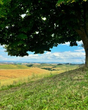 Oka Giner Instagram - Hoy conocimos la Toscana italiana y el olor a alfalfa nos hizo recordarte mucho papá. ❤️
Acá te cuido a tu Lorena.