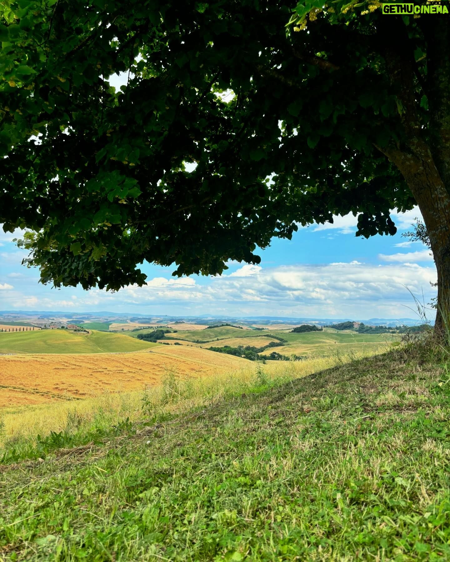 Oka Giner - 42.1K Likes - Hoy conocimos la Toscana italiana y el olor a alfalfa nos hizo recordarte mucho papá. ❤️
Acá te cuido a tu Lorena.