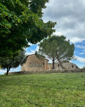 Oka Giner Instagram - Hoy conocimos la Toscana italiana y el olor a alfalfa nos hizo recordarte mucho papá. ❤️
Acá te cuido a tu Lorena.