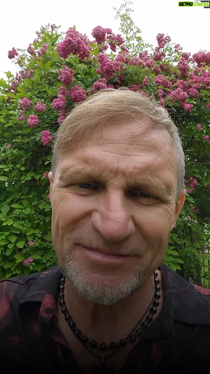 Oleh Skrypka - 349 Likes - «КРАЇНА МРІЙ» та «КРАЇНА МІСТИЧНА» вже наступного тижня, друзі! Чекаємо на вас і до зустрічі🪷
📍Національний ботанічний сад імені Миколая Гришка
(Вулиця Садово - Ботанічна, 1)
⏰21, 22, 23 червня з 12:00 до 21:00
📢Найближче укриття: станція метро “Звіринецька” — 1800 метрів
#країнамрій #країнамістична #фестивалькраїнамрій #олегскрипка #етнофестиваль #фестиваль #фестивалькиїв #етніка #воплівідоплясова #українськакультура #етно
#Країна_Мрій #Україна #Індія #Японія #Олег_Скрипка #Йога #Avatar #країнамістичнафест #Vedalife_пробуждение #День_Йоги #Країна_Містична