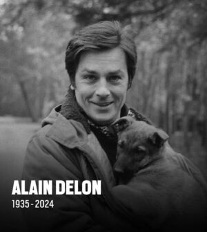 Olga Sumskaya Instagram - Ален Делон …RIP🙏🏻 Легендарний кумир поколінь ,улюблений,незрівнянний…Таких вже не буде…