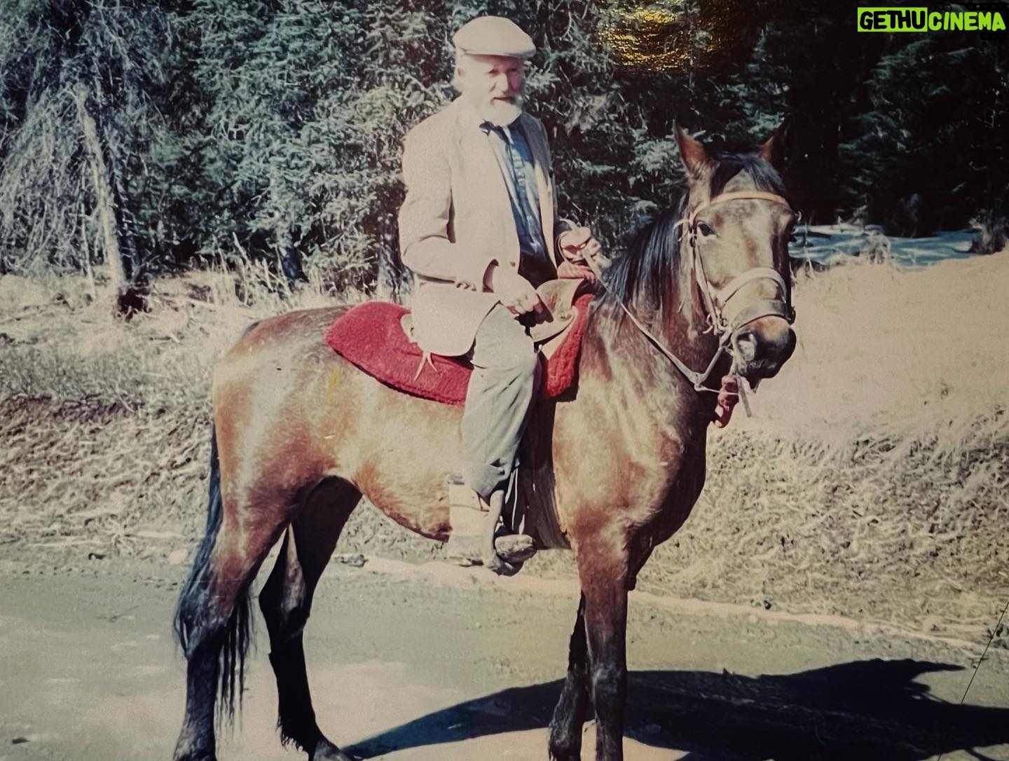Otto Kilcher - 3.2K Likes - Sophi - one of my favorite horses on the homestead, with my dad April 13, 1996. She was 3 years old and it was her first ride. Probably was his last ride.
Sophi and Dad at the old haybarn.
Sophi enjoying retirement, summer 2022.
Winter scene with herd boss Sophi always center stage.
#nationaldayofthehorse #kilcher #kilcherhomestead #kilchercountry #horses #morgans #coolyule