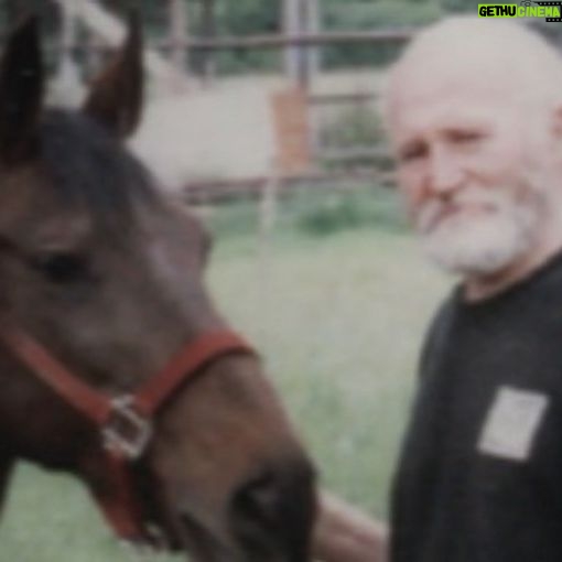 Otto Kilcher - 3.2K Likes - Sophi - one of my favorite horses on the homestead, with my dad April 13, 1996. She was 3 years old and it was her first ride. Probably was his last ride.
Sophi and Dad at the old haybarn.
Sophi enjoying retirement, summer 2022.
Winter scene with herd boss Sophi always center stage.
#nationaldayofthehorse #kilcher #kilcherhomestead #kilchercountry #horses #morgans #coolyule
