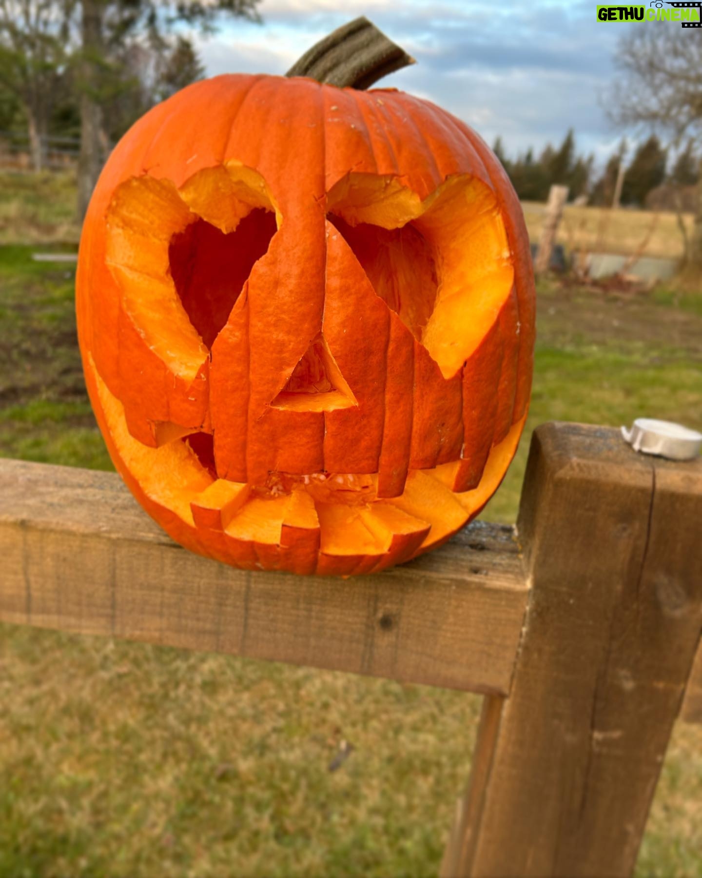 Otto Kilcher - 2.6K Likes - Punkin fun on the homestead. Which is your favorite?
#kilcher #kilchercountry #kilcherhomestead #halloween #jackolantern #ifyaknowyaknow #checkenginelight