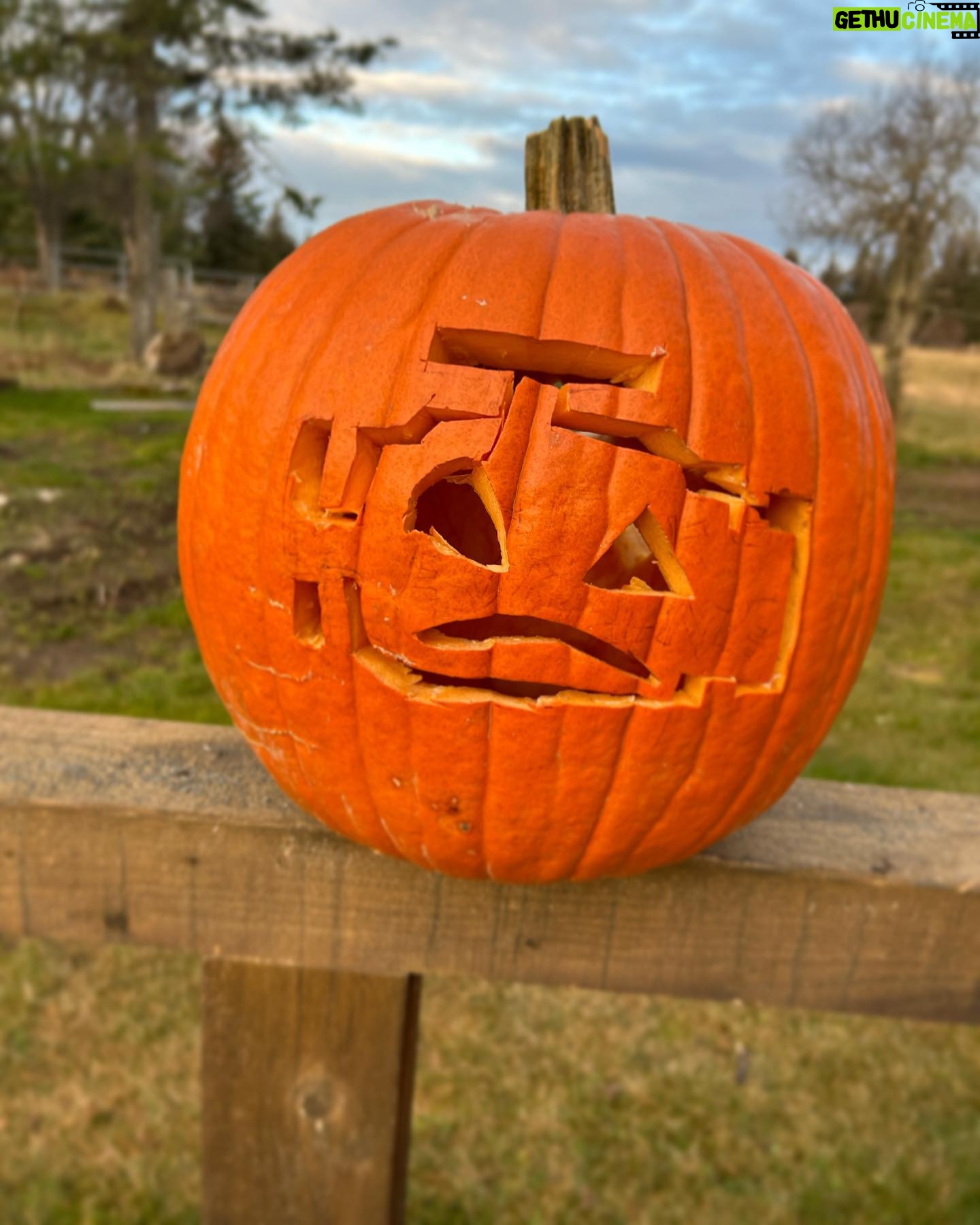 Otto Kilcher - 2.6K Likes - Punkin fun on the homestead. Which is your favorite?
#kilcher #kilchercountry #kilcherhomestead #halloween #jackolantern #ifyaknowyaknow #checkenginelight