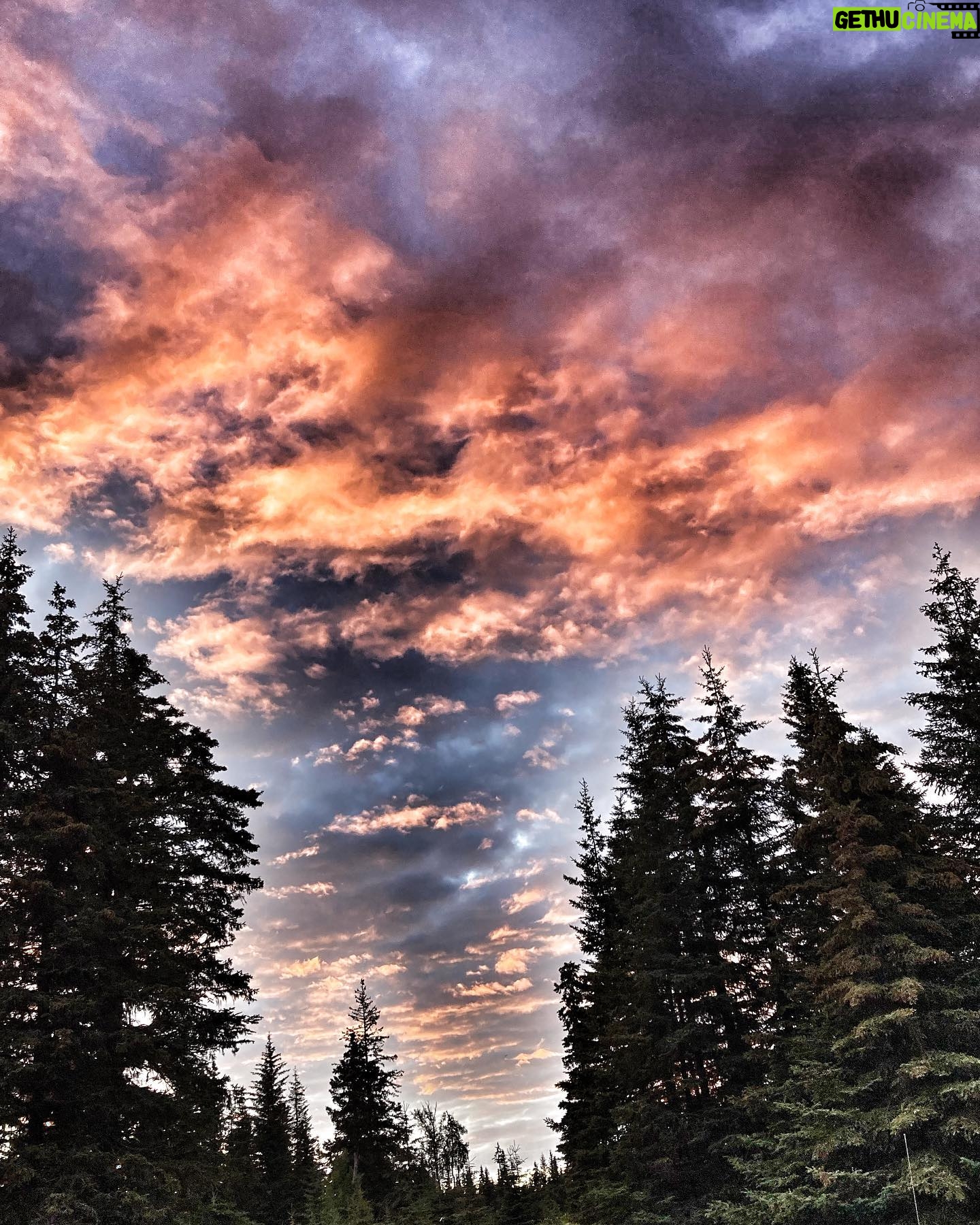 Otto Kilcher - 3K Likes - Mother Nature wields her wild paintbrush with a flourish, splashing the world with colors that dance across the canvas of Earth. 🌅