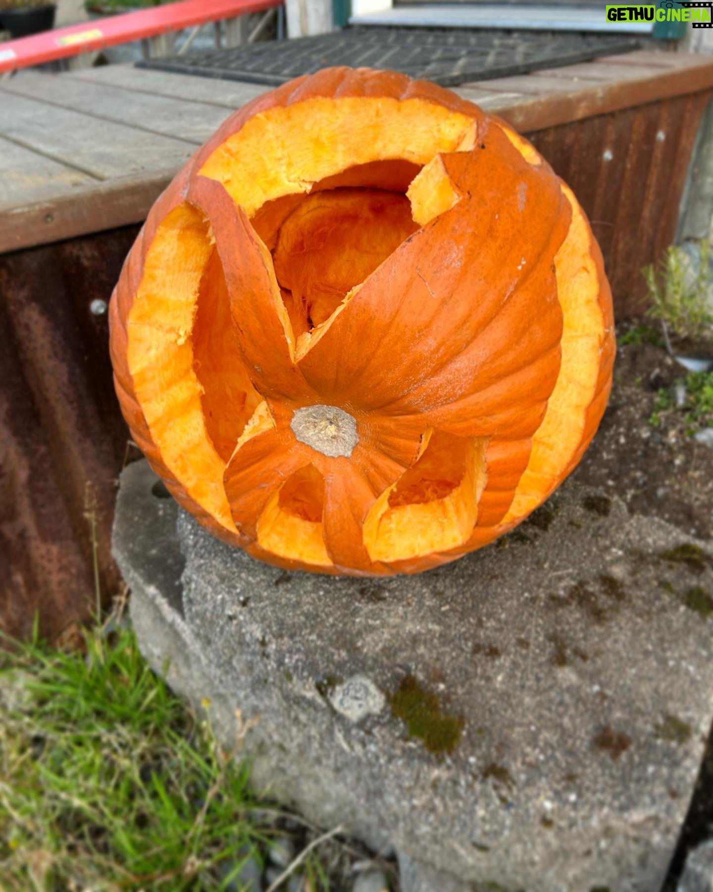 Otto Kilcher - 2.6K Likes - Punkin fun on the homestead. Which is your favorite?
#kilcher #kilchercountry #kilcherhomestead #halloween #jackolantern #ifyaknowyaknow #checkenginelight