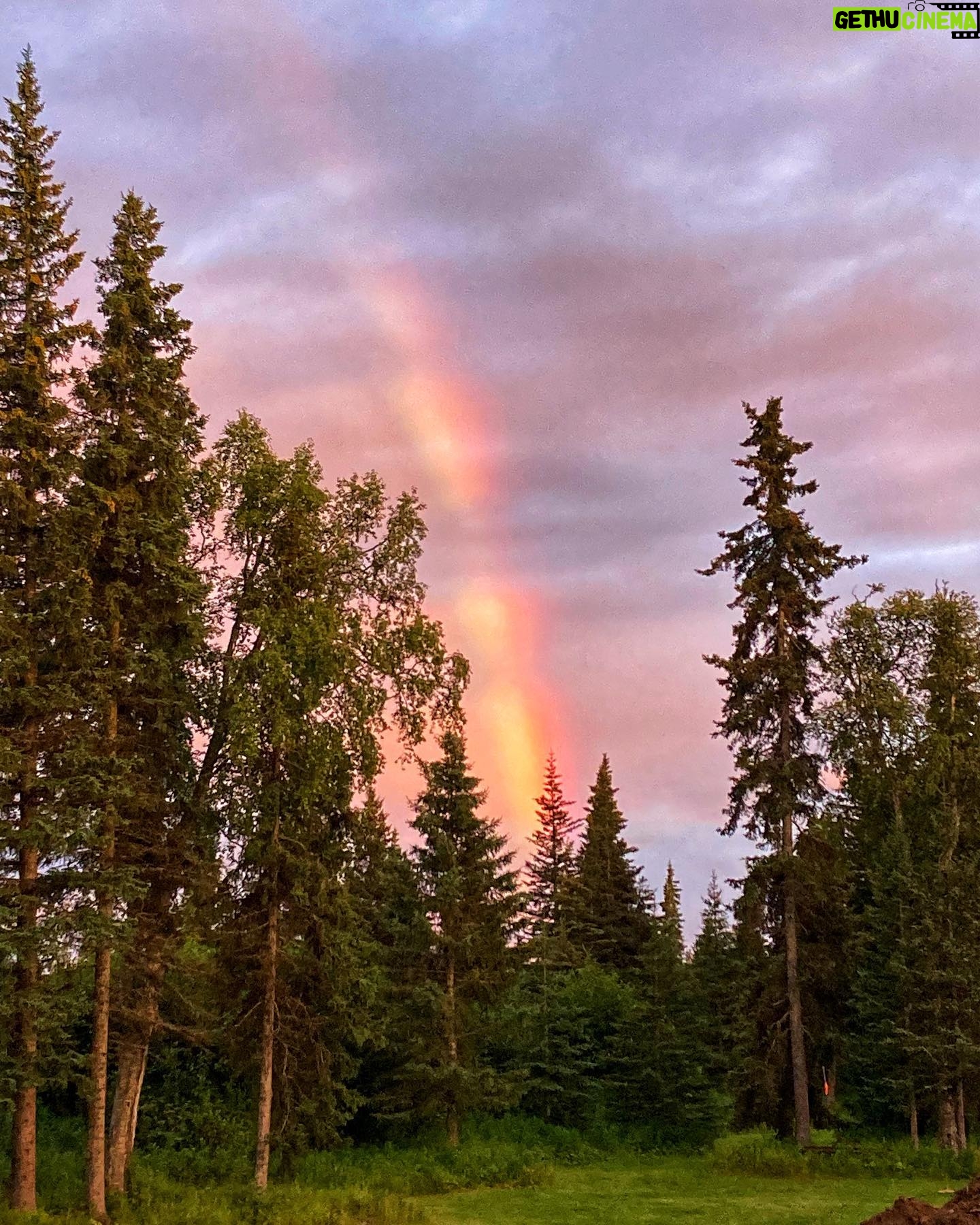 Otto Kilcher - 3K Likes - Mother Nature wields her wild paintbrush with a flourish, splashing the world with colors that dance across the canvas of Earth. 🌅