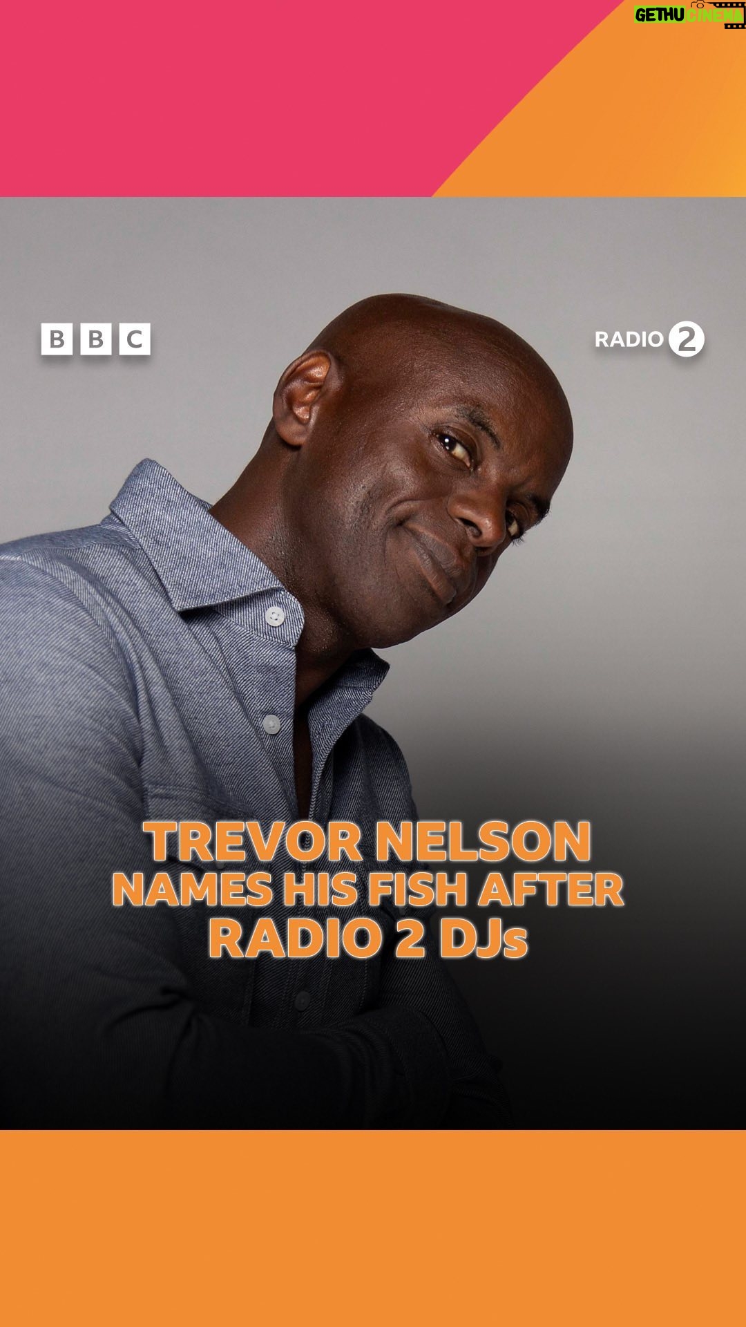Owain Wyn Evans - 2.2K Likes - Trevor Nelson names his fish after Radio 2 DJs š š
Have you got anymore suggestions?