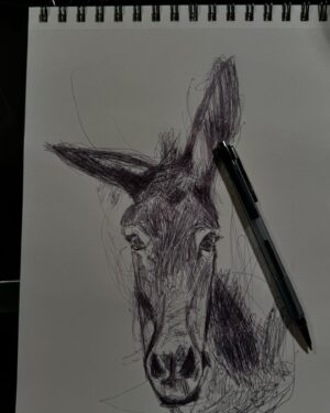 Pablo Astiazarán Instagram - El burro haciendo burradas.
(Me quedó medio medio peeeeeeero es el primero que hago así)
Julio 2024
Ciudad de México, México.