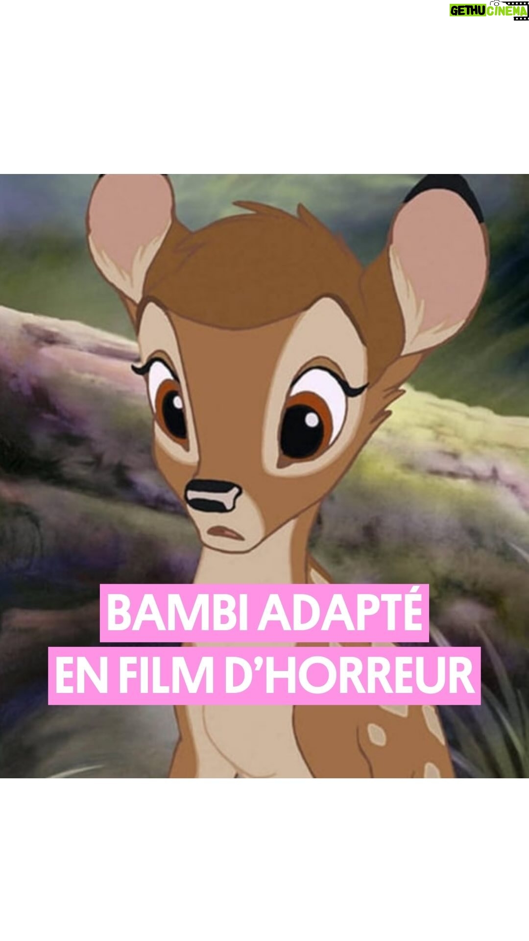 Pablo Mira - 26.5K Likes - Bambi va être adapté en film d’horreur pour la plus grande joie de Pablo 🦌