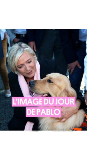 Pablo Mira Instagram - C’est cadeau 🎁