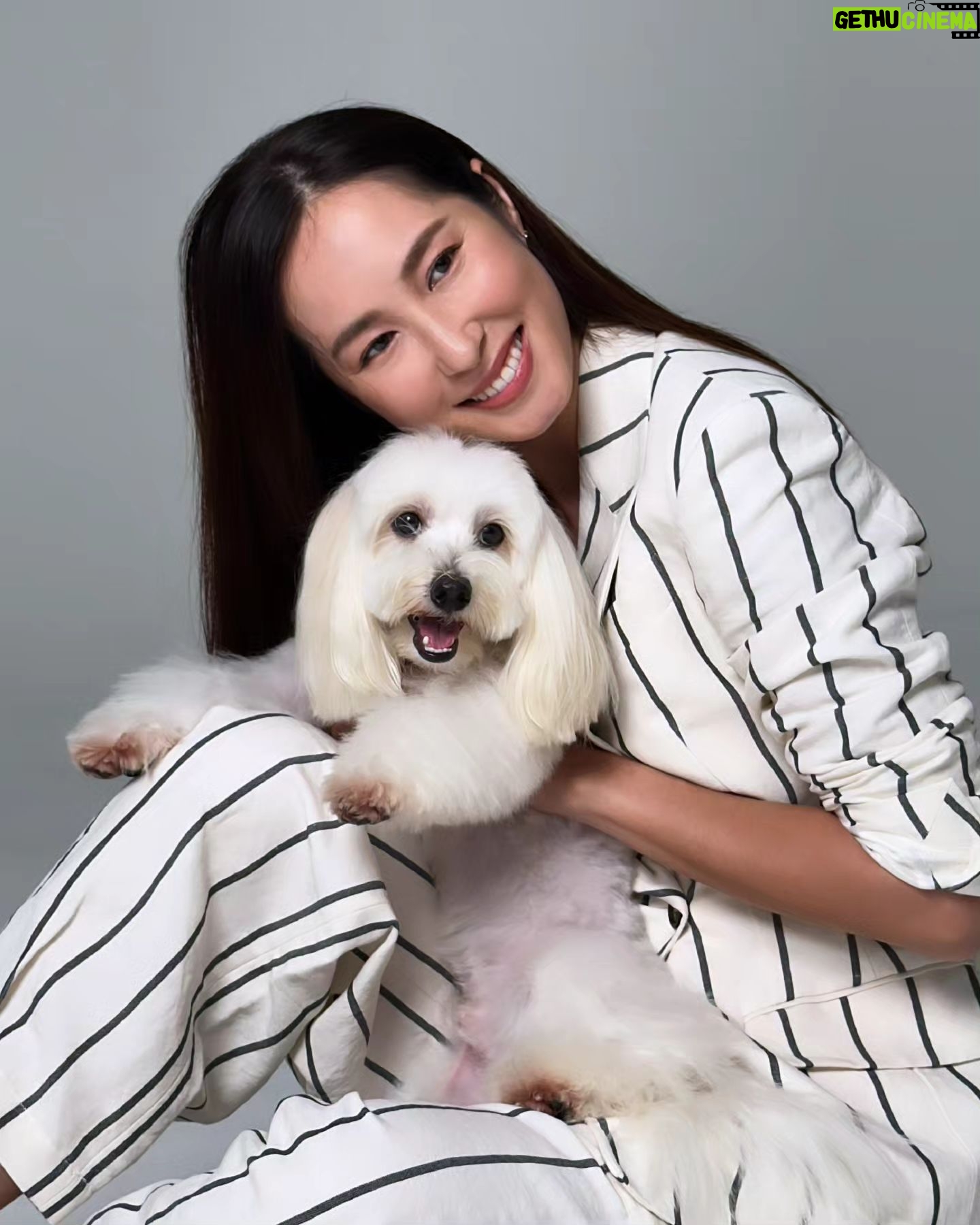 Paige Chua - 2.2K Likes - 一不小心,就爱上了。。。🩷🐶🩷
《宠他,还是爱我》
#fureveryours