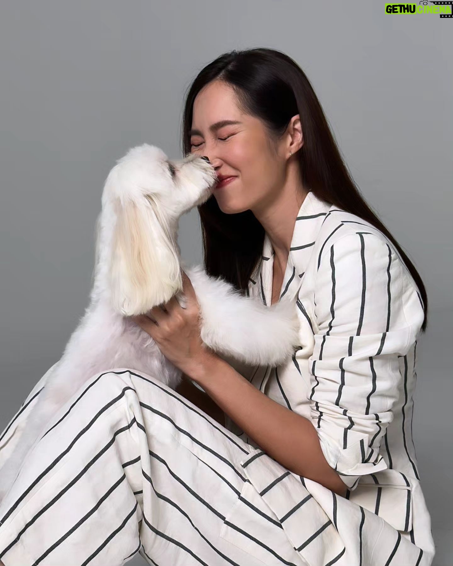 Paige Chua - 2.2K Likes - 一不小心,就爱上了。。。🩷🐶🩷
《宠他,还是爱我》
#fureveryours