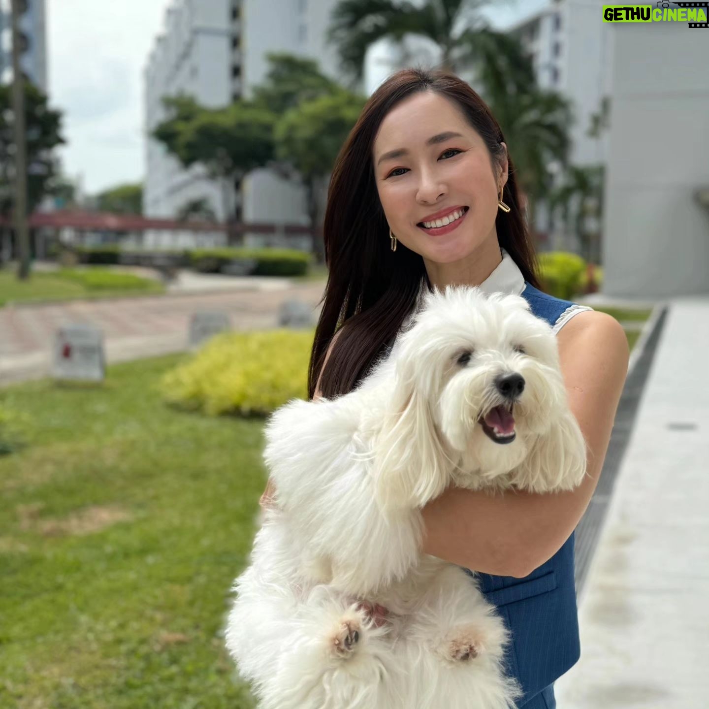 Paige Chua - 2.7K Likes - One of the things I love about my job is that it brings me new experiences, people and awakens me to the kinds of love I didn't know i am capable of.
Another chapter closed and my existence enriched. 🥰
Thanks for joining us at #fureveryours
#宠他还是爱我