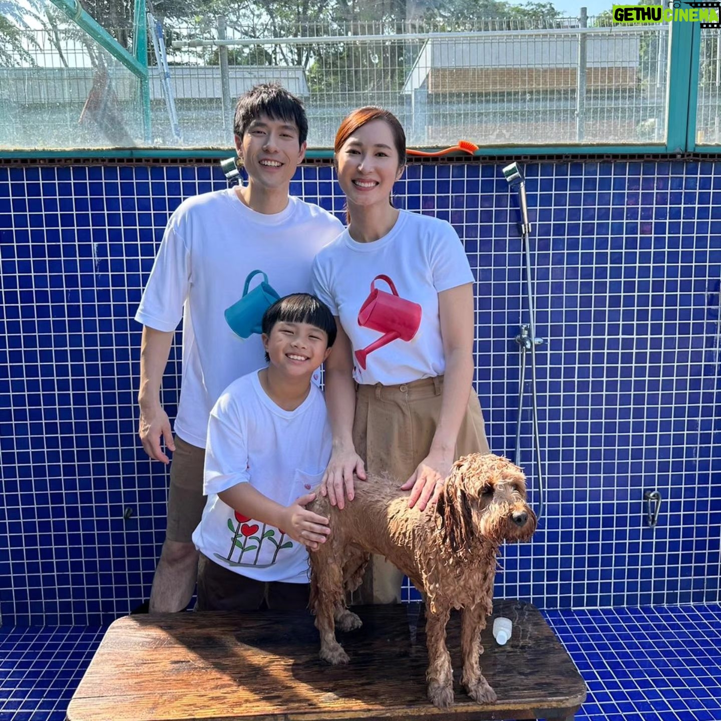 Paige Chua - 2.7K Likes - One of the things I love about my job is that it brings me new experiences, people and awakens me to the kinds of love I didn't know i am capable of.
Another chapter closed and my existence enriched. 🥰
Thanks for joining us at #fureveryours
#宠他还是爱我