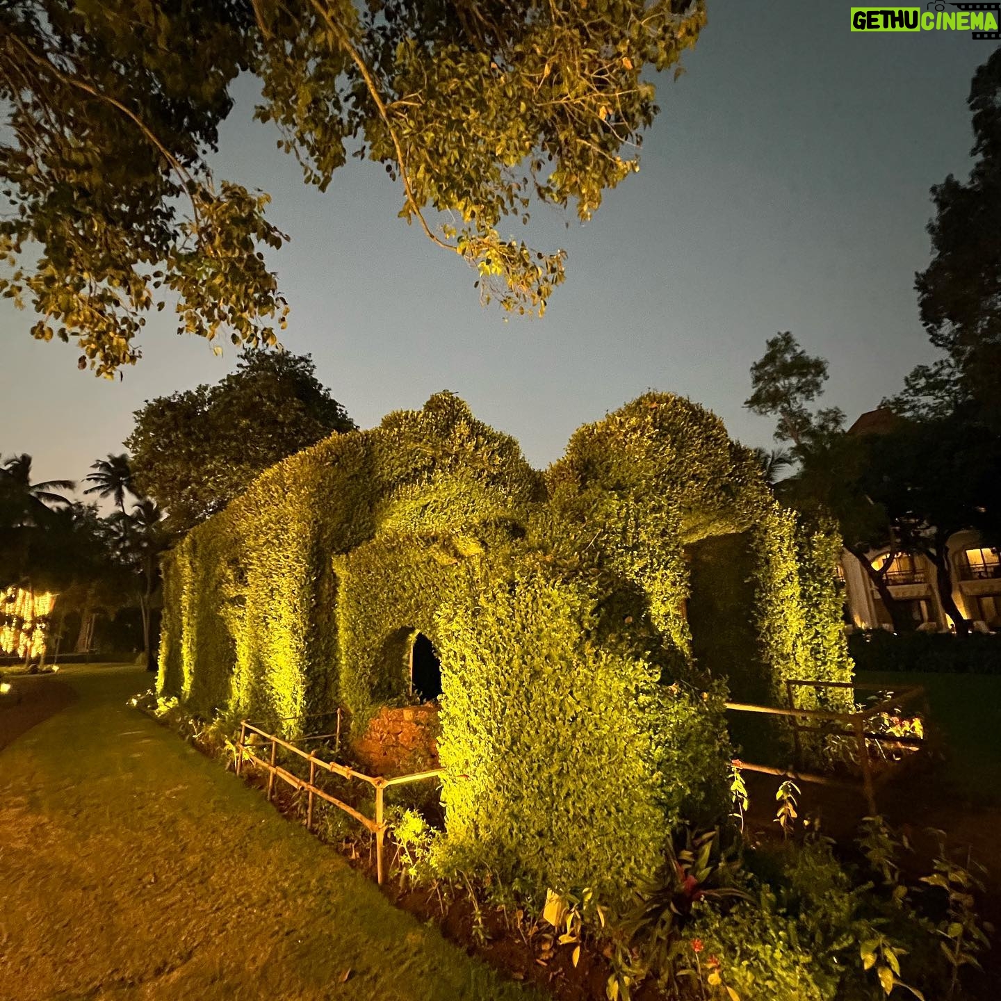 Pan Nalin - 316 Likes - Goa 17th Century Chapel