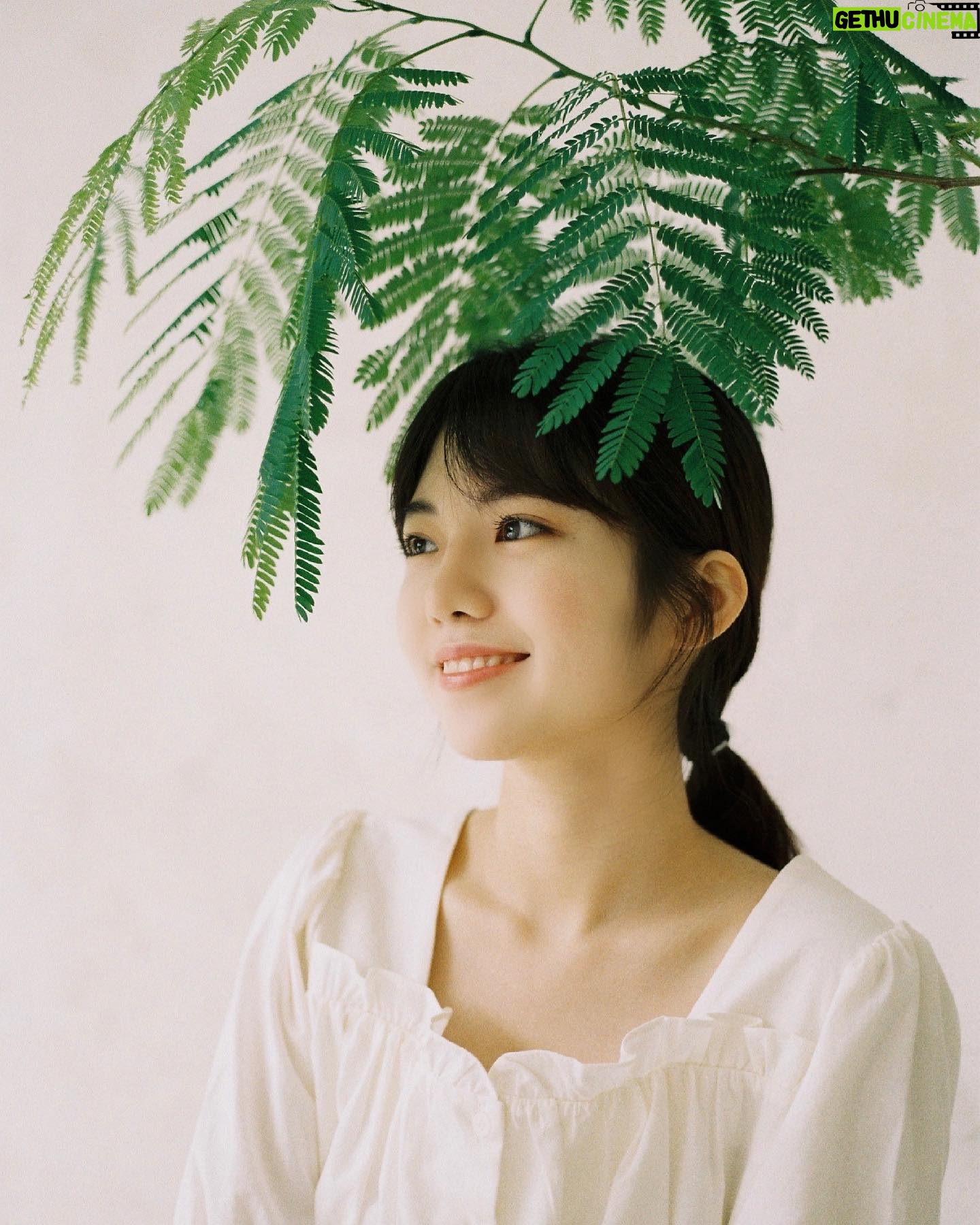 Park Seo-yeon - 3 Likes - 🌿🌿