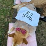 Park So-jin