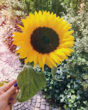 Park So-yeon Instagram - .
It‘s already 15 years 🌻✌🏻
Thank you, I miss you guys. I never forgot all this💛
어느덧….. 15주년 이라니……🙃