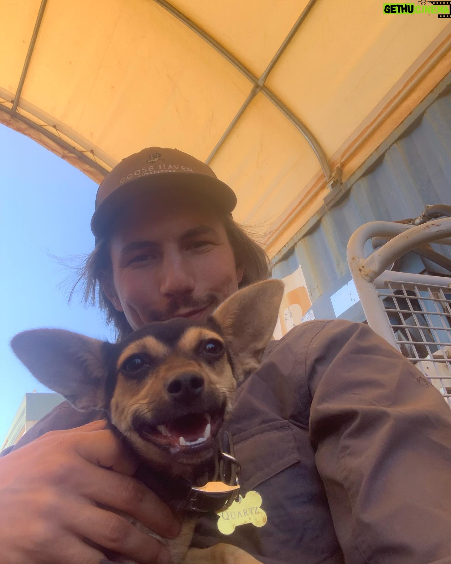 Parker Schnabel - 24.2K Likes - Dogs of the minesites #quartz #Australia