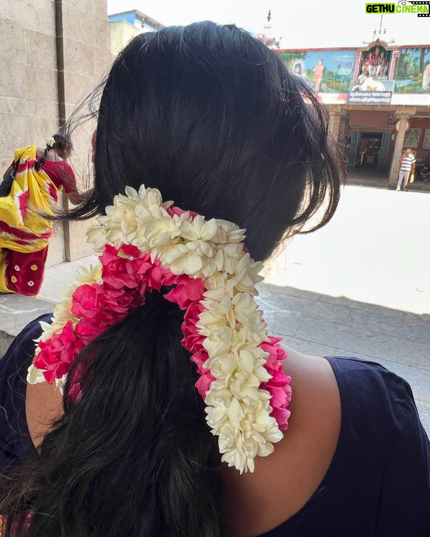 Parvathy Saran - 43.6K Likes - 🌸🌙🤍🤞