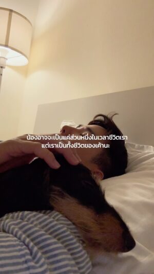 Pataradanai Setsuwan Instagram - น้องอาจจะเป็นแค่ส่วนหนึ่งในเวลาชีวิตเรา
แต่เราเป็นทั้งชีวิตของเค้านะ 📝🐰🐶🌭❤️‍🩹 

 Thank you @uncle.healing for healing a big part of me.