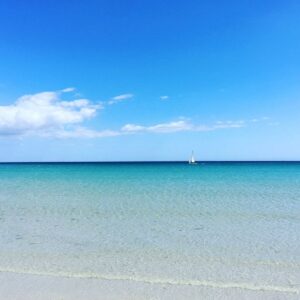 Patrick Puydebat Instagram - Caraïbes ? Non #bretagne 😎#nofilter