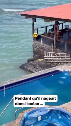 Patrick Puydebat Instagram - Bon week-end !