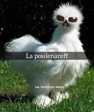 Patrick Puydebat Instagram - 