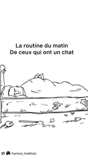 Patrick Puydebat Instagram - À part la batte de baseball tout est vrai. #mavieaveccharlie