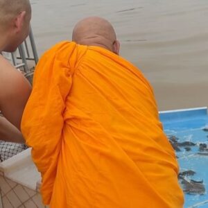 Pattarasaya Kreursuwansiri Instagram - เมื่อสุดสัปดาห์ที่ผ่านมาพีคได้มีโอกาสไปร่วมปล่อยโคท้องและปล่อยปลามาค่า พีคขอเอาบุญมาฝากซิสทุกคนด้วยนะค้า🙏🏻🙏🏻🙏🏻 @iretreatwellnessmeditation @imonastery_inter