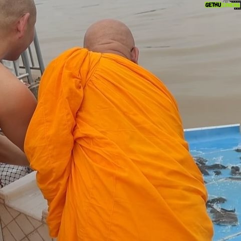Pattarasaya Kreursuwansiri - 3 Likes - เมื่อสุดสัปดาห์ที่ผ่านมาพีคได้มีโอกาสไปร่วมปล่อยโคท้องและปล่อยปลามาค่า พีคขอเอาบุญมาฝากซิสทุกคนด้วยนะค้า🙏🏻🙏🏻🙏🏻 @iretreatwellnessmeditation @imonastery_inter