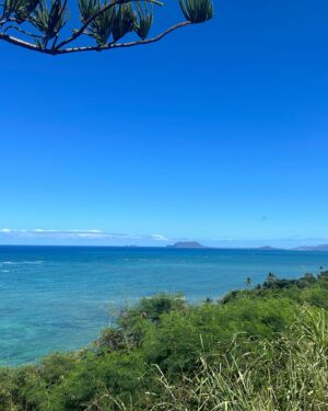 Paul Craig Instagram - Chasing dinosaurs on two wheels in Jurassic valley 🚲 🦕 @kualoaranch #jurassicvalley #hawaii