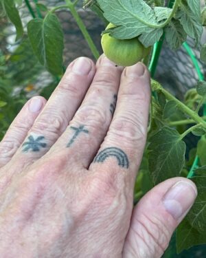 Pauley Perrette Instagram - My first three tomatoes of the season. 
:)