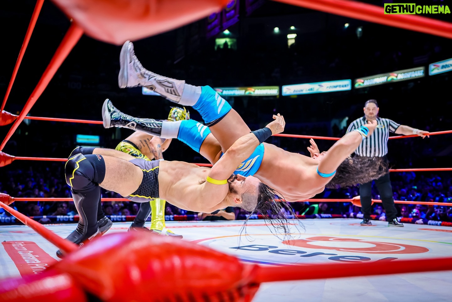 Pentagón Jr. - 11.8K Likes - ¡El Death Triangle se presentó en la Arena México representando a #AEW! Los Lucha Brothers y PAC fueron descalificados ante Místico, Volador Jr. y Máscara Dorada, el Dream Team del #CMLL.
📸 @elfotografodelasluchas
#LuchaLibre #LuchaLibreMexicana #Luchador #Wrestling #MexicanWrestling #follow #ViernesEspectacularCMLL
