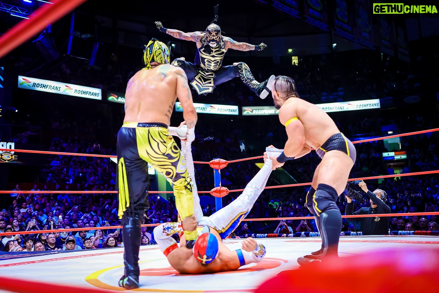 Pentagón Jr. - 11.8K Likes - ¡El Death Triangle se presentó en la Arena México representando a #AEW! Los Lucha Brothers y PAC fueron descalificados ante Místico, Volador Jr. y Máscara Dorada, el Dream Team del #CMLL.
📸 @elfotografodelasluchas
#LuchaLibre #LuchaLibreMexicana #Luchador #Wrestling #MexicanWrestling #follow #ViernesEspectacularCMLL