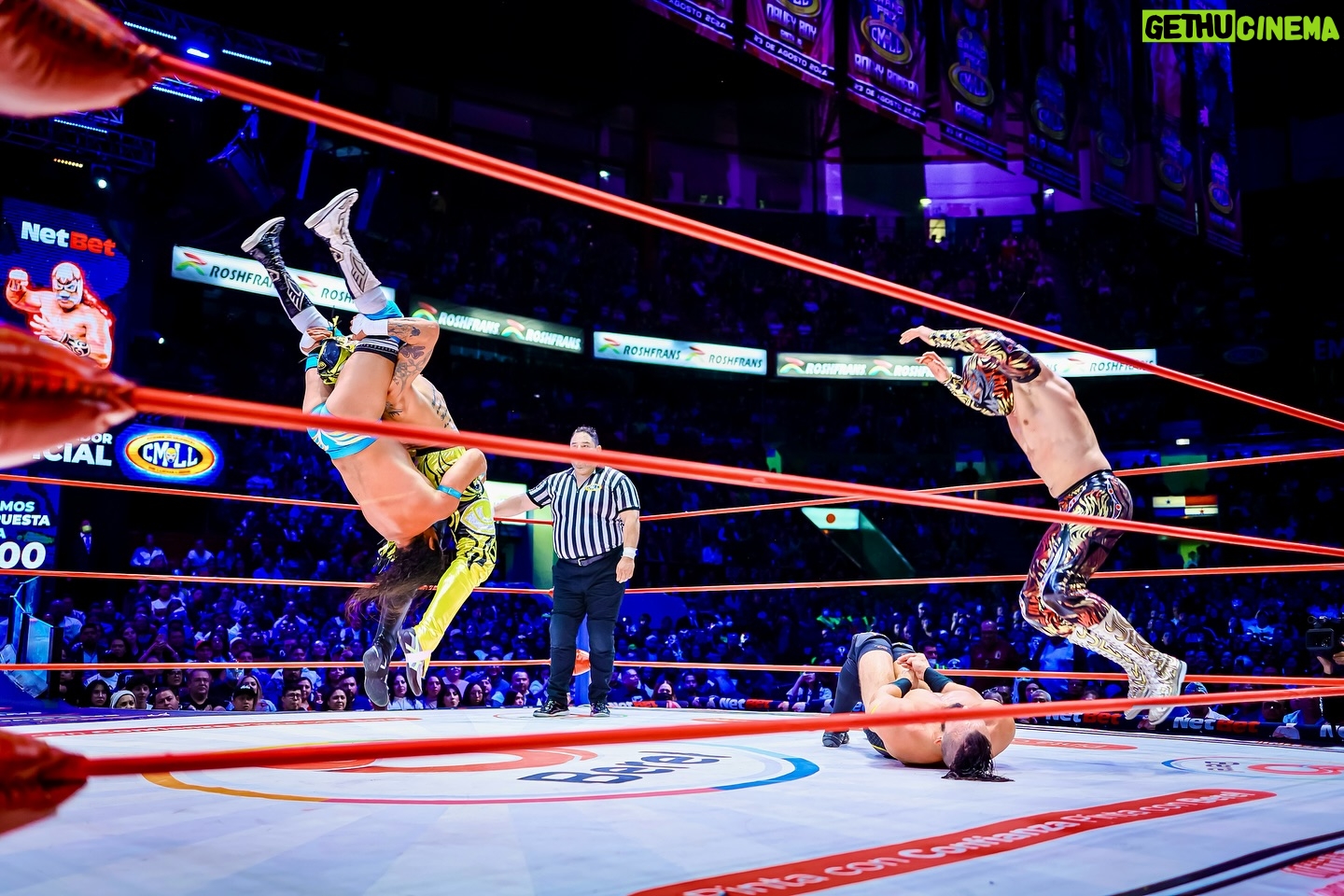 Pentagón Jr. - 11.8K Likes - ¡El Death Triangle se presentó en la Arena México representando a #AEW! Los Lucha Brothers y PAC fueron descalificados ante Místico, Volador Jr. y Máscara Dorada, el Dream Team del #CMLL.
📸 @elfotografodelasluchas
#LuchaLibre #LuchaLibreMexicana #Luchador #Wrestling #MexicanWrestling #follow #ViernesEspectacularCMLL