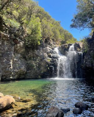 Pepe Rodríguez Instagram - Que suerte descubrir uno de los paraísos más bonitos que tenemos tan cerca de España @visitmadeira, que mar…..que vegetación …..como se come y como se bebe( bueno…eso lo hago bien en cualquier sitio😝😝😝)
Si vienes y tienes la suerte de pasarlo en @savoypalace @savoysignature pues el viaje es un diez !!!
Os dejo que me voy de senderismo
#savoysignature #savoypalace #gift