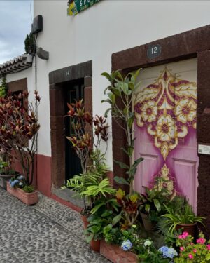Pepe Rodríguez Instagram - Acabo de desembarcar en la isla de Madeira, concretamente en Funchal ¡Qué maravilla de sitio! Lo tiene todo, calles pintorescas, buenos restaurantes, mejor vino y un mar cálido maravilloso. Os voy contando más cositas, pero cuando me termine el vino. 
#madeiraisland 
#portosantoisland 
#visitmadeira #madeiranowordsneeded #madeirabelongstoall 
#madeiratãotua
#gift